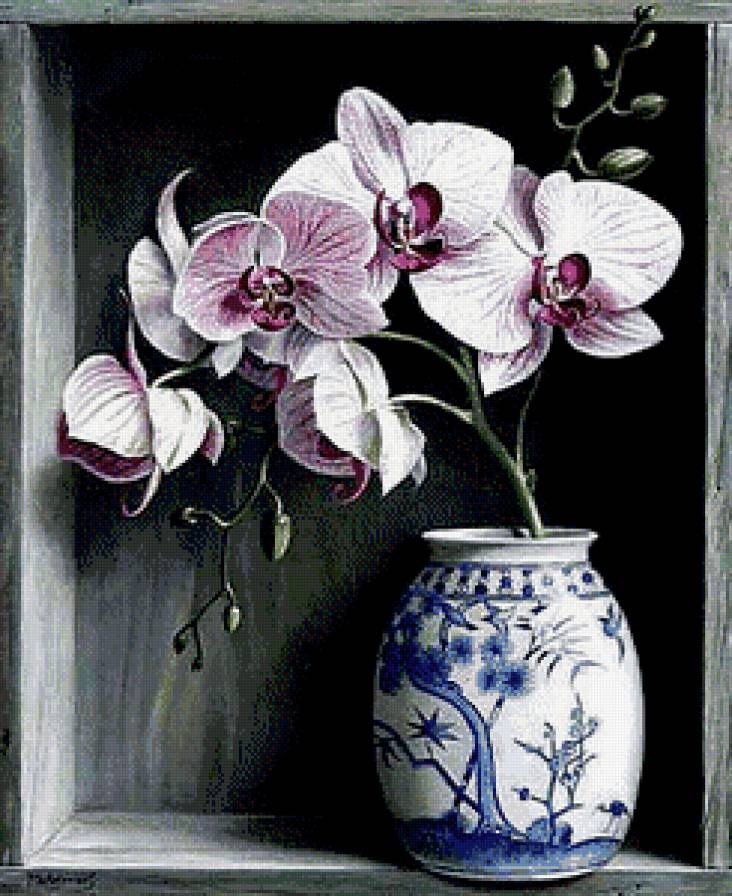 Орхидеи - орхидеи, цветы - предпросмотр