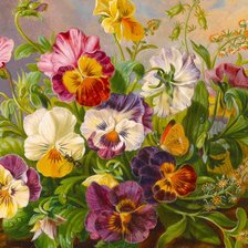 Схема вышивки «анютины глазки»