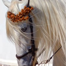 Схема вышивки «красотка»