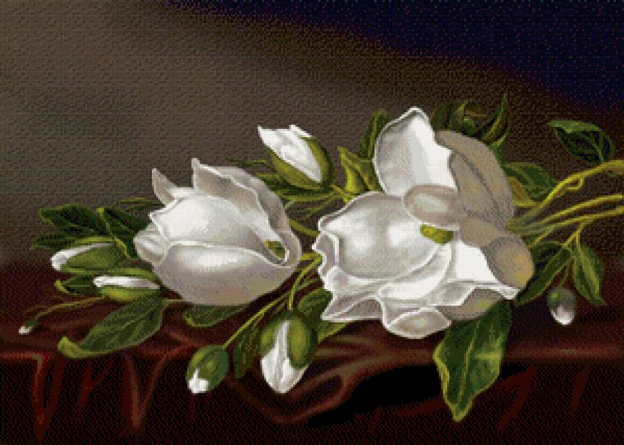 магнолия - нажность, весна, ветка, магнолия, восток - предпросмотр