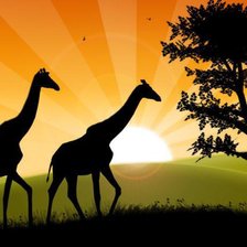 Схема вышивки «африка»