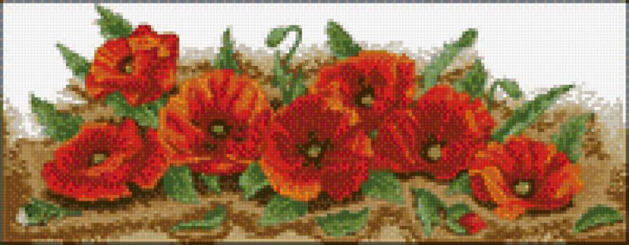 акварель маки - предпросмотр