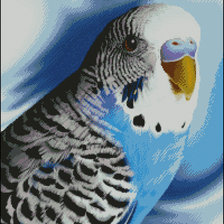 Схема вышивки «кешка»