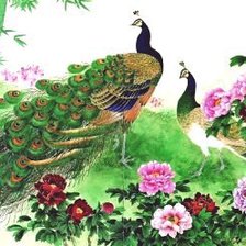 Схема вышивки «павлины»