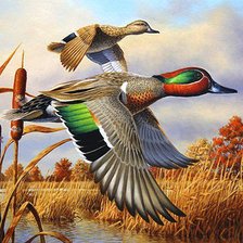 Схема вышивки «№639310»