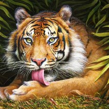 Схема вышивки «№639312»