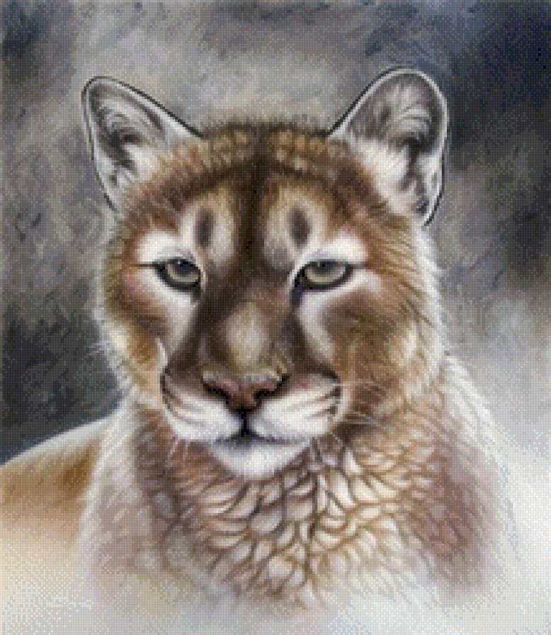 пума - животные - предпросмотр