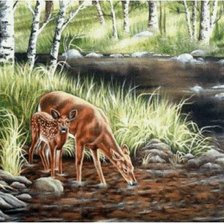 Схема вышивки «с мамой на водопой»