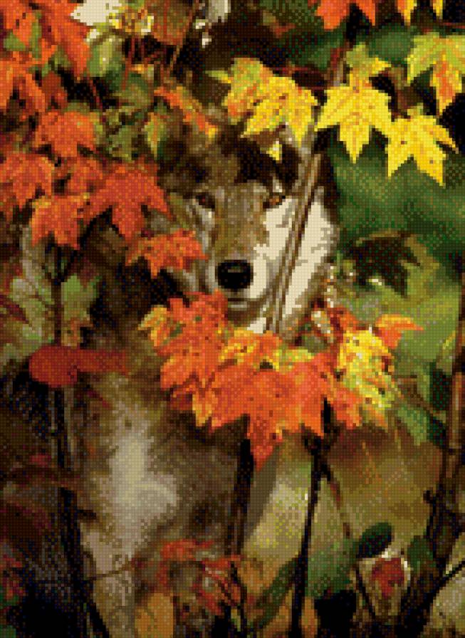 волк - волки - предпросмотр