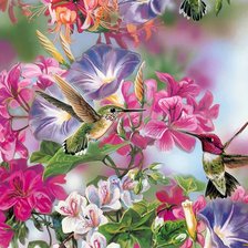 Серия птицы