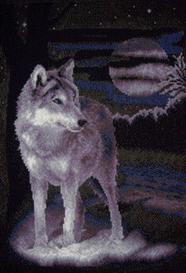 серия "волки" - животные. волк - предпросмотр