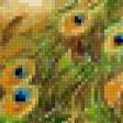 Предпросмотр схемы вышивки «павлин» (№639476)