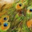 Предпросмотр схемы вышивки «павлин2» (№639482)