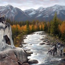 Схема вышивки «волки»