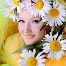 РОМАШКОВОЕ ЧУДО