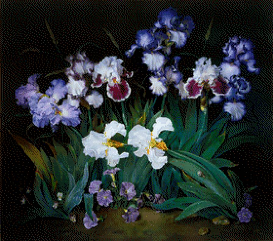 Jose Escofet - irysy - предпросмотр