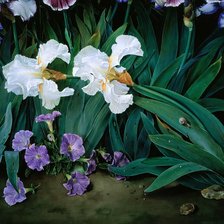 Схема вышивки «Jose Escofet»