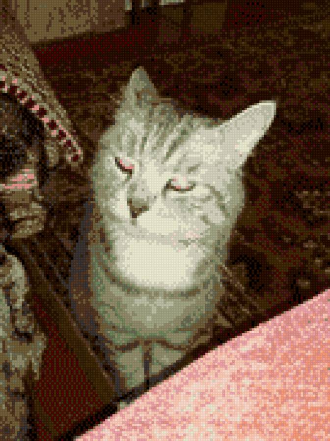 Цезарь - предпросмотр