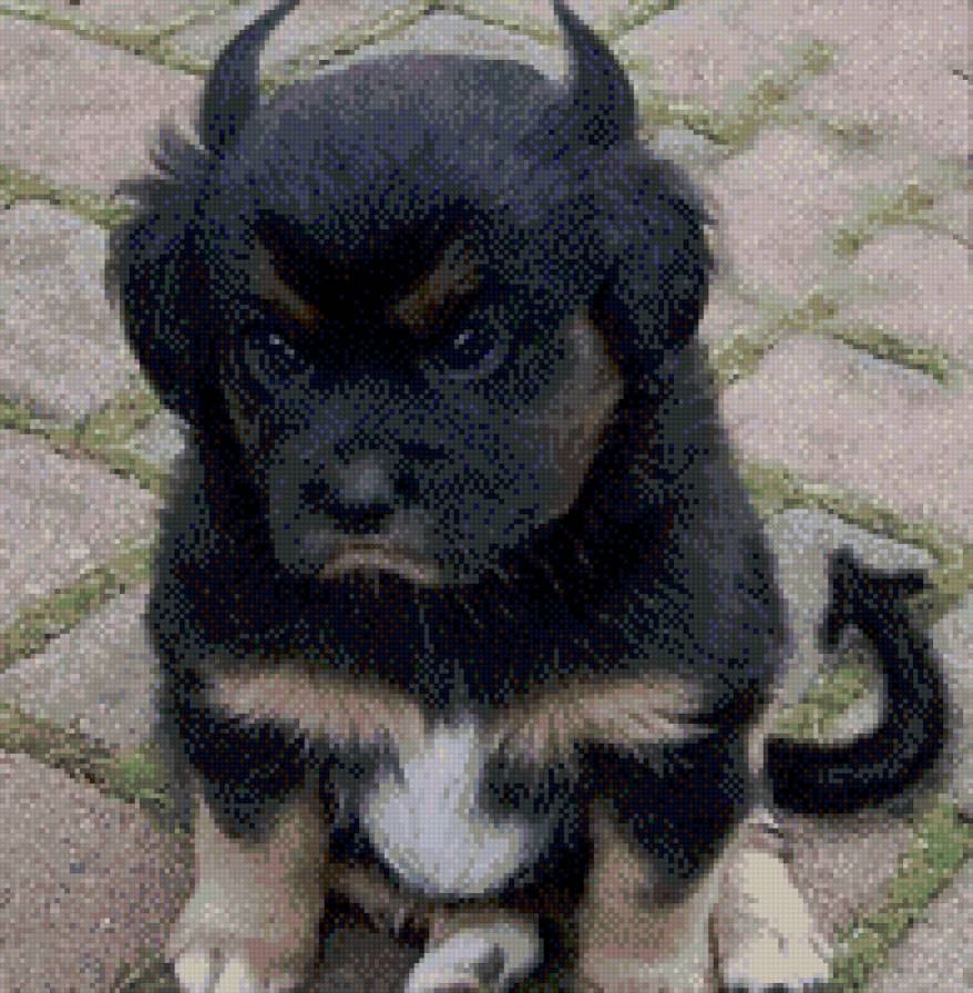 чертик - щенок - предпросмотр