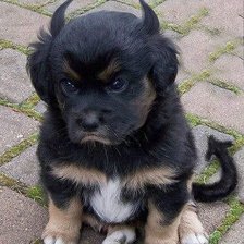 Схема вышивки «чертик»