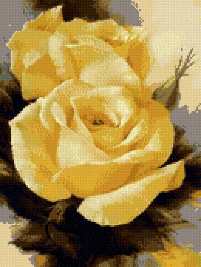 мои  любимые розы - предпросмотр