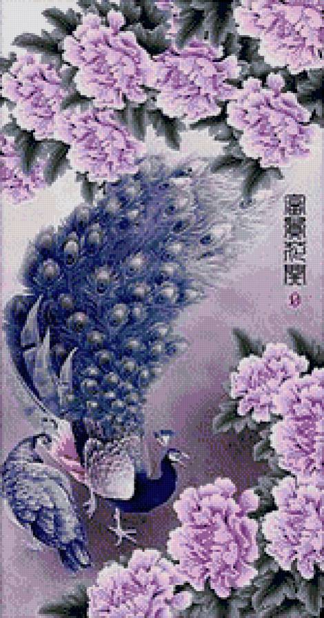 павлины - пионы, цветы, павлины - предпросмотр