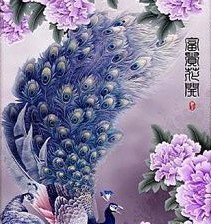 Схема вышивки «павлины»