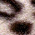 Предпросмотр схемы вышивки «Шкура леопарда» (№639747)