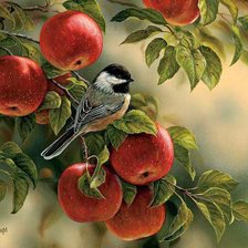 Схема вышивки «Птица»