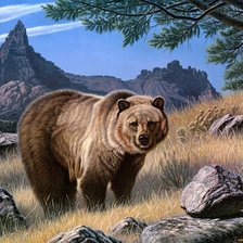 Схема вышивки «Мишка»