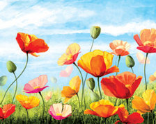 панно маки (+ подушка)