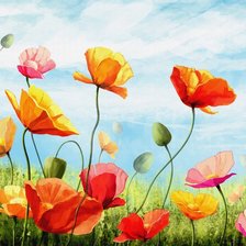 Схема вышивки «подушка маки (+ панно)»