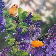 Схема вышивки «птицы на сирене»