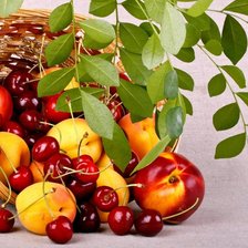 Схема вышивки «корзина с фруктами»