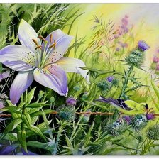 Схема вышивки «giglio»