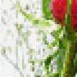 Предпросмотр схемы вышивки «№640017»