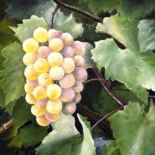 Схема вышивки «подушка виноград»