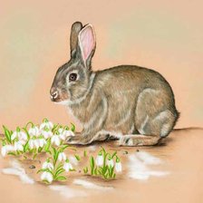 Схема вышивки «Зайчик»