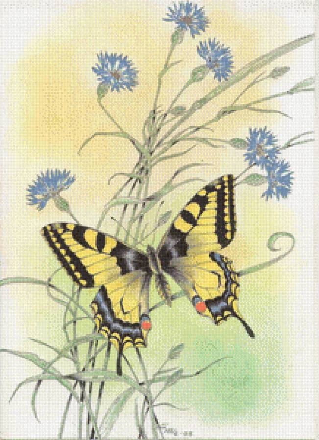 Васильки с бабочкой - цветы, бабочка - предпросмотр