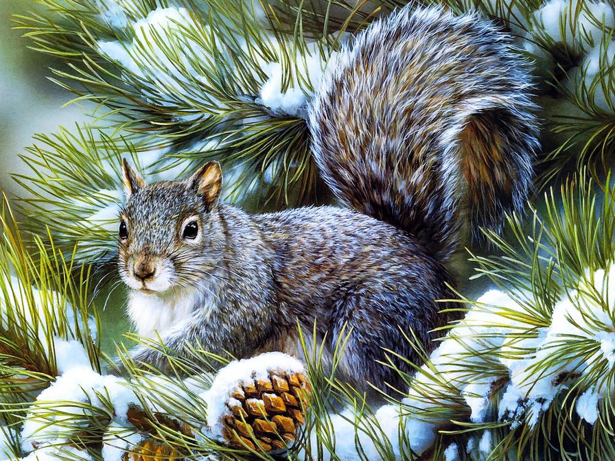 пано белка - белка, природа, лес, животные - оригинал