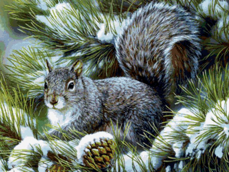 пано белка - лес, белка, природа, животные - предпросмотр