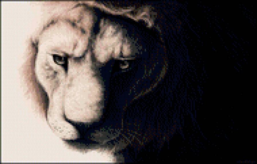 Белый Лев - животные, лев, рисунок - предпросмотр