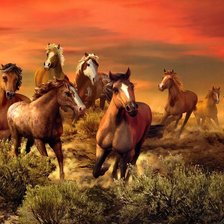 Схема вышивки «лошади»