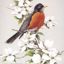 Схема вышивки «птичка»