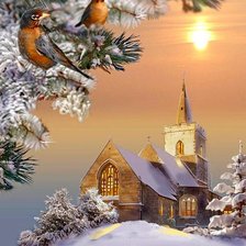 птички зимой