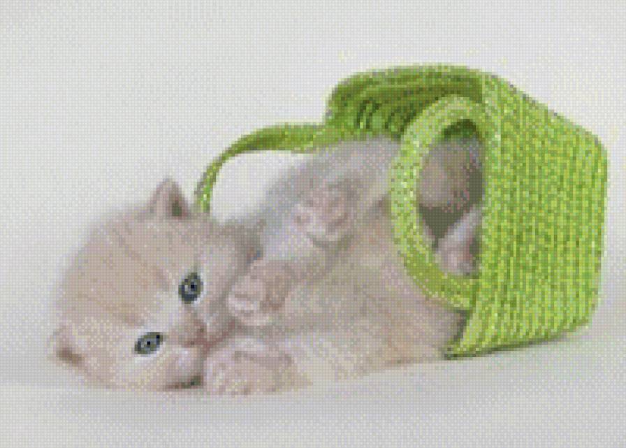 котик - очарование, котенок, корзина - предпросмотр