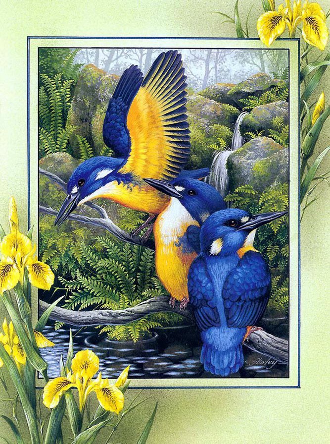 зимородки - пано, цветы, птицы, природа - оригинал