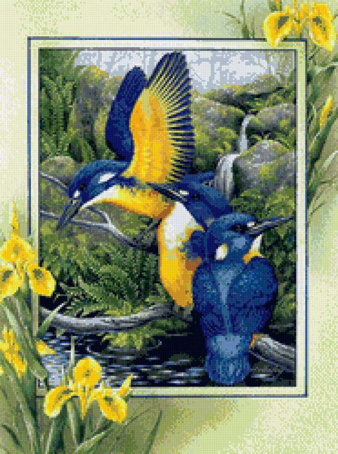 зимородки - природа, пано, птицы, цветы - предпросмотр