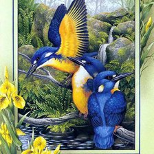 Схема вышивки «зимородки»