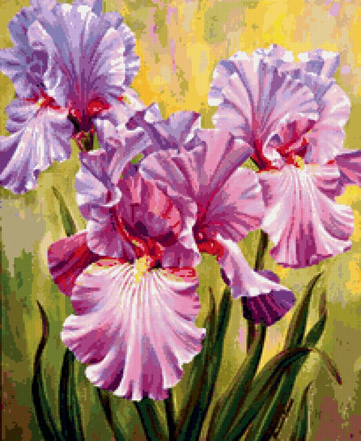 пано ирисы - цветы, картина, ирисы, пано - предпросмотр